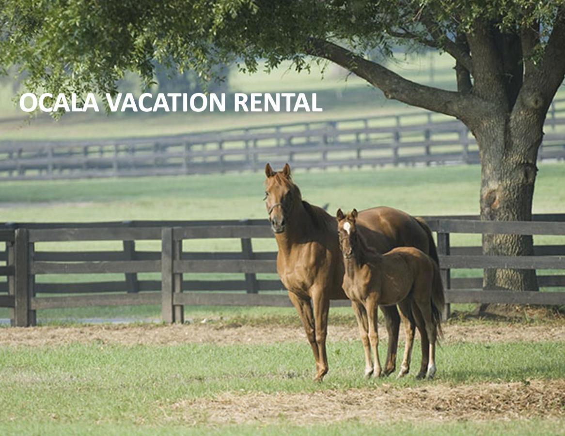 Ocala Vacation Rental - Only 5 Minutes From The World Equestrian Center! Home Exterior photo